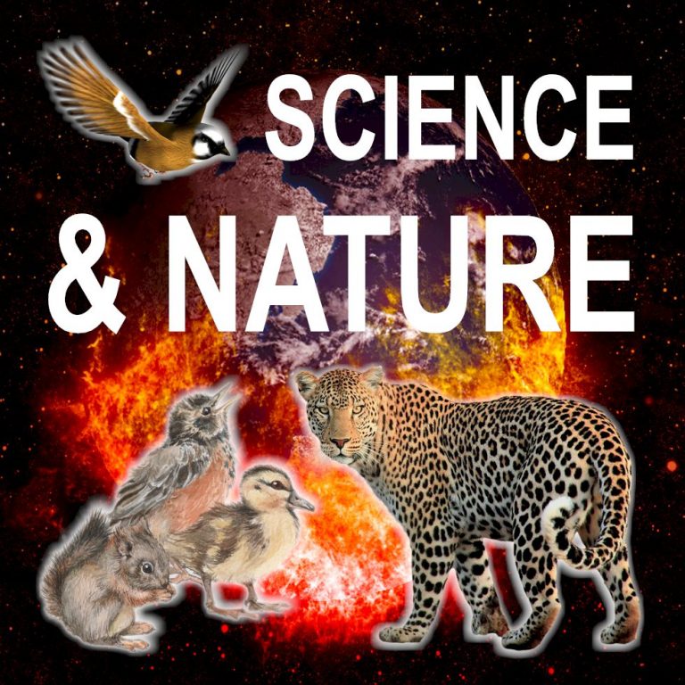 Science and Nature Kodi Add-On